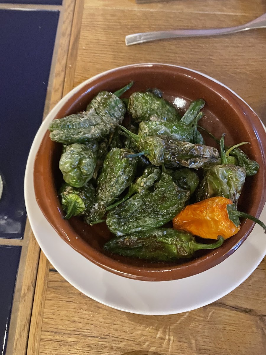 El Pintxo Tapas & Wine-6